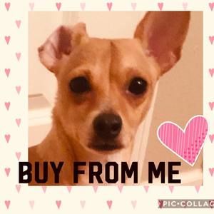 Meet your Posher, Furniture